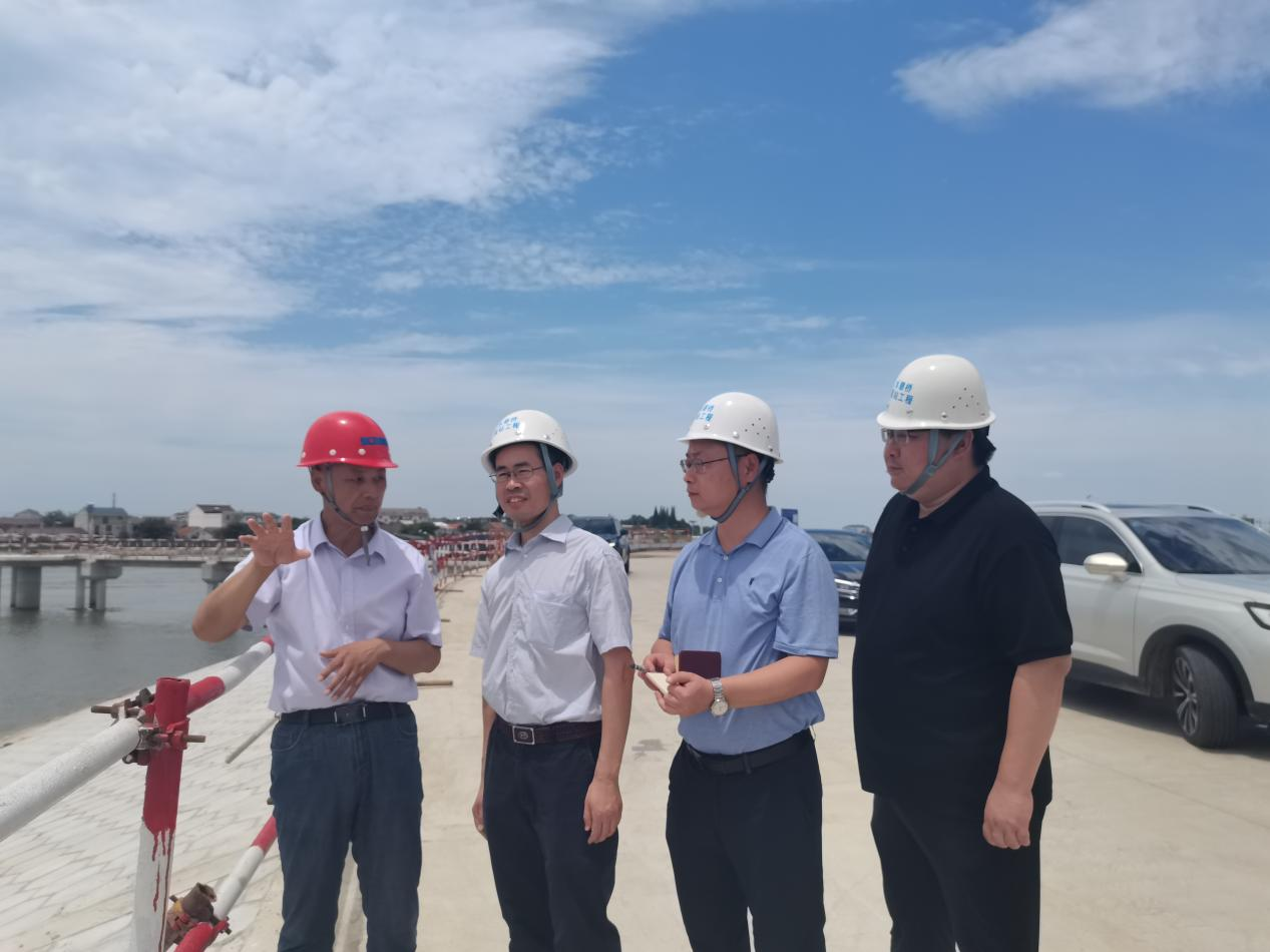 水利部建安中心来淳检查指导防汛工作