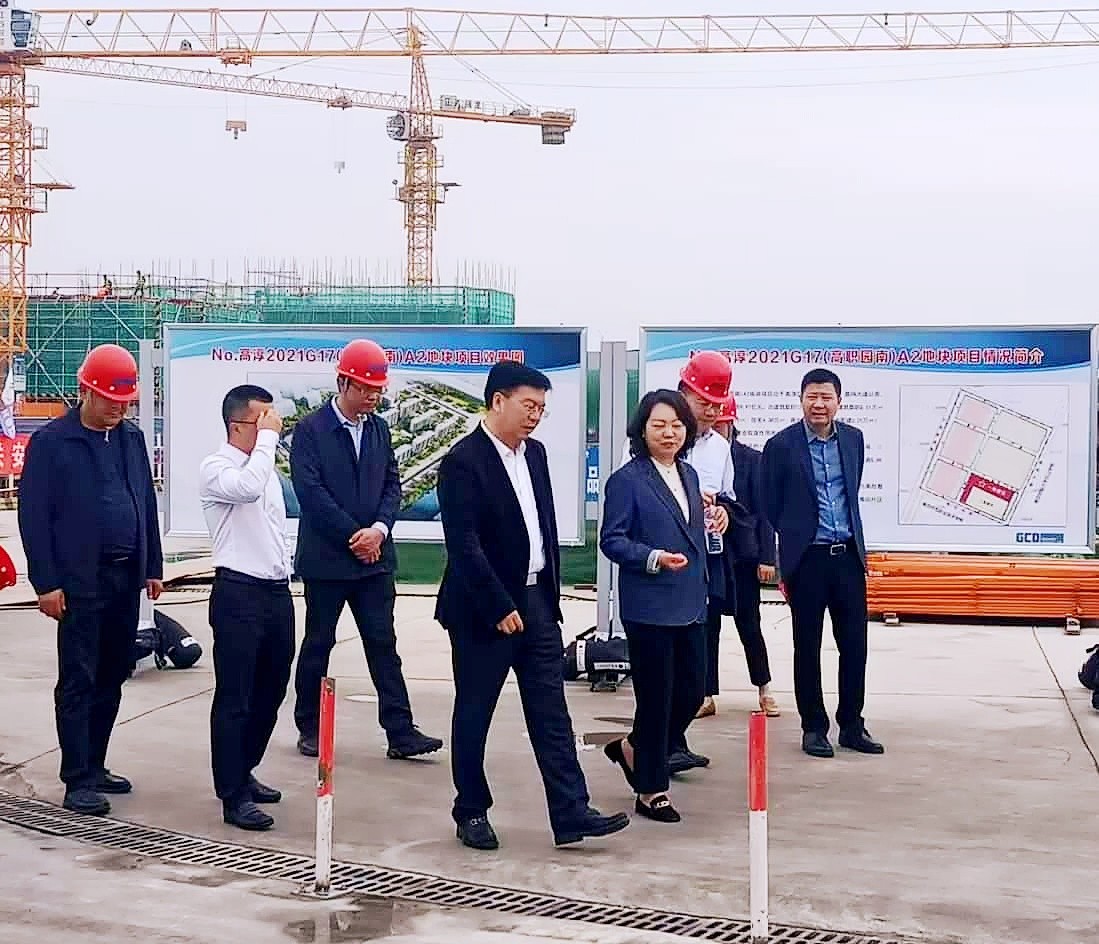 李晖副市长率队调研A2地块项目