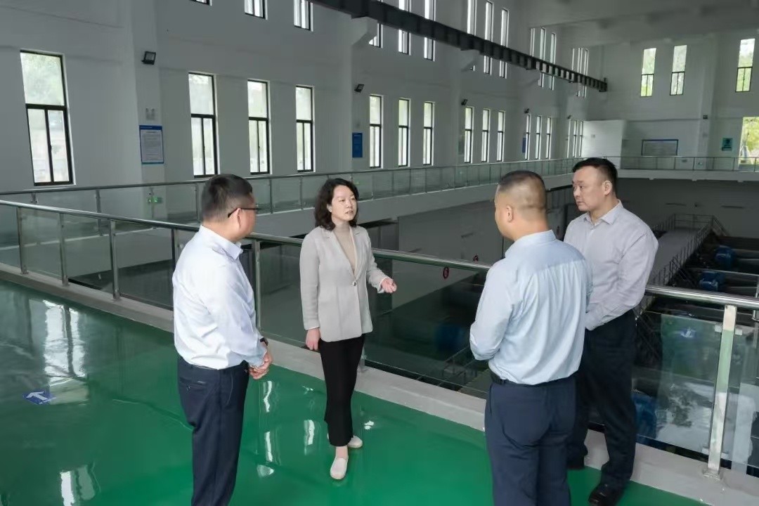 李蓓区长调研水碧桥泵站运行情况