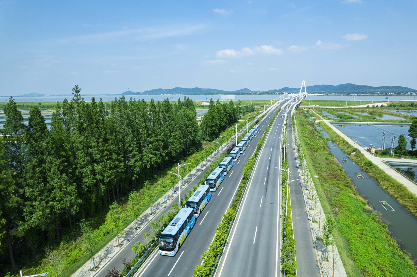淳科公交成功中标南京市公务用车平台项目  开辟市场化业务新赛道